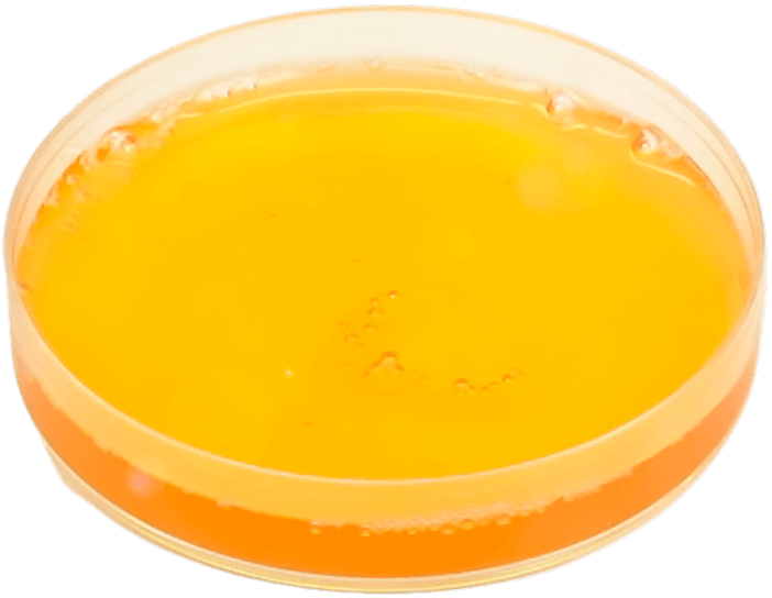 A jar containing the blood cells of a patient at the lab located in the USA